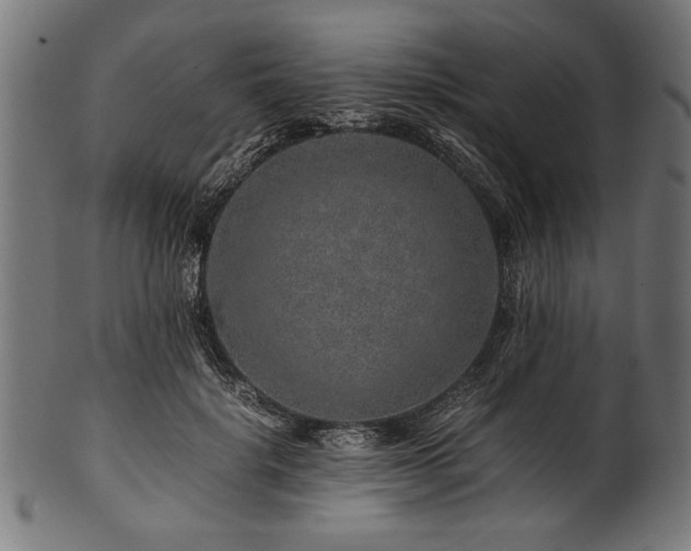 X0000100950652200806241504