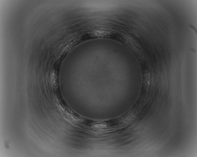 X0000100950653200806241504