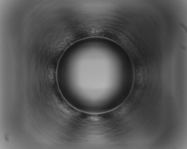 X0000100950654200806241504