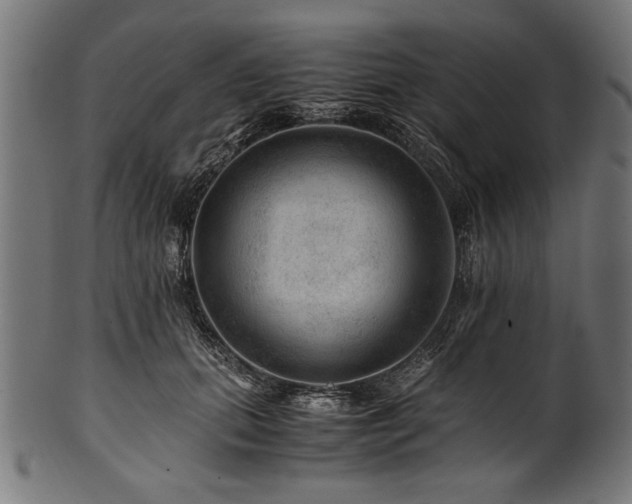 X0000100950655200806241504