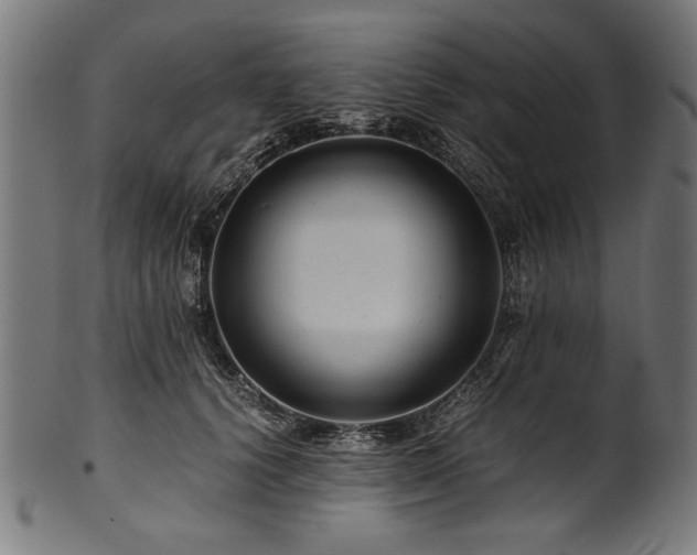 X0000100950656200806241504