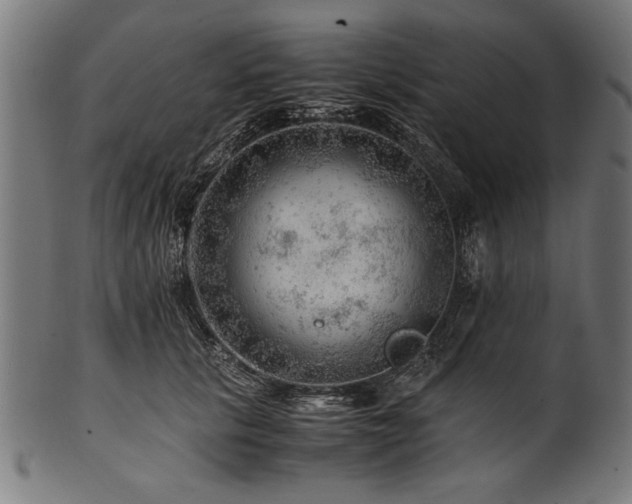 X0000100950657200806241504