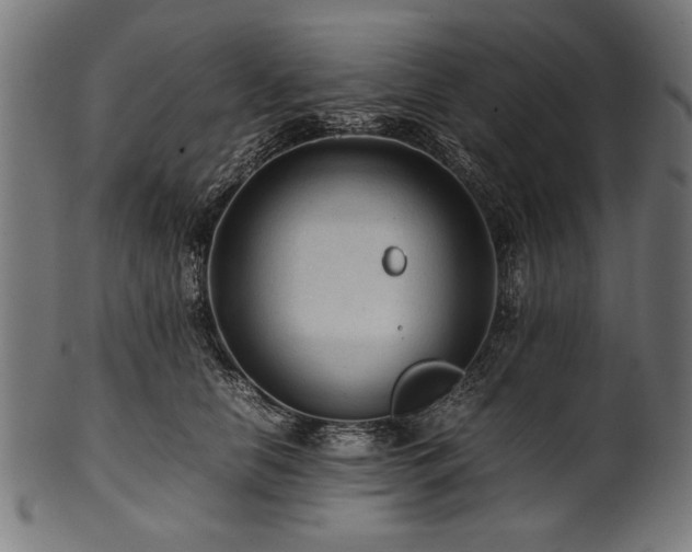 X0000100950658200806241504