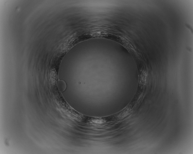 X0000100950659200806241504