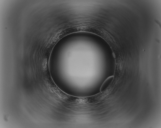 X0000100950660200806241504