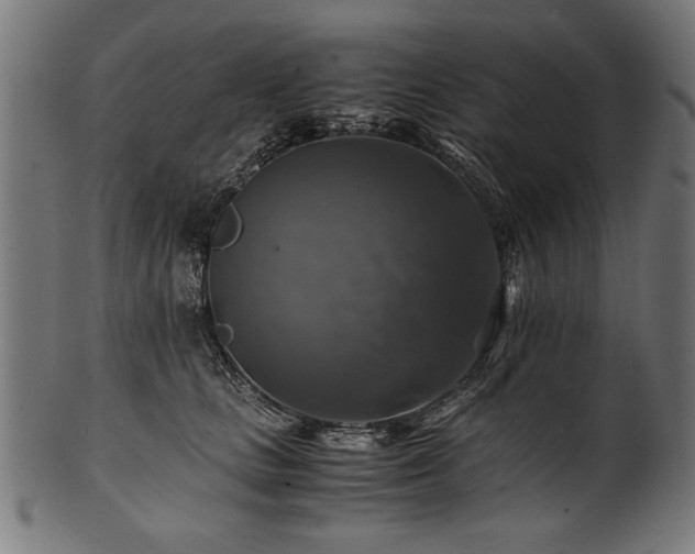 X0000100950661200806241504