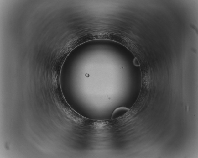 X0000100950662200806241504