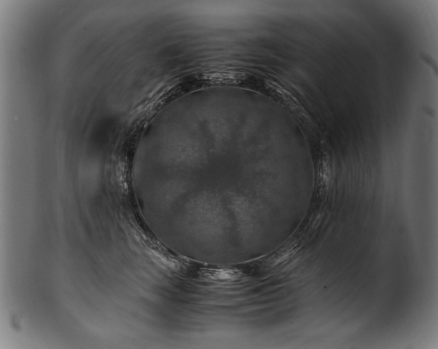 X0000100950663200806241504