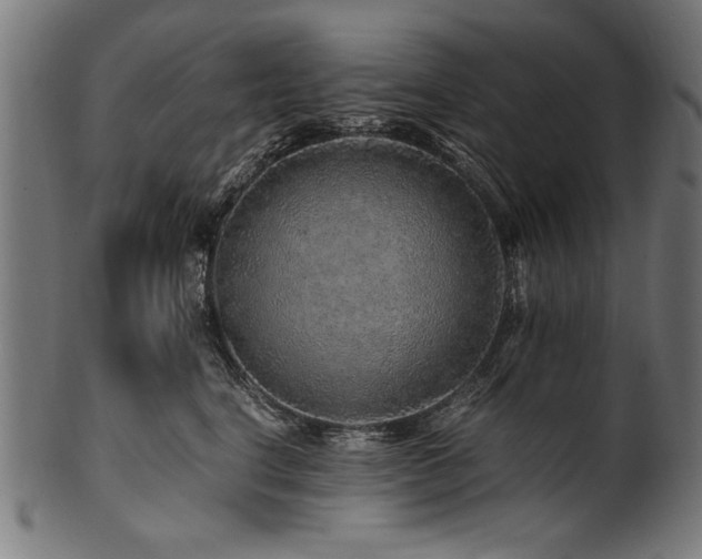 X0000100950664200806241504