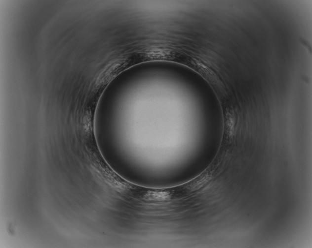 X0000100950665200806241504