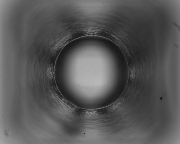 X0000100950666200806241504
