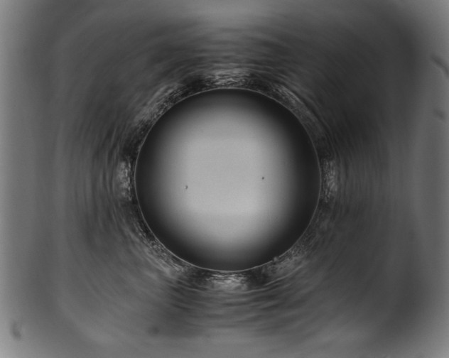 X0000100950667200806241504