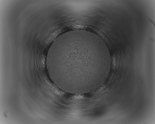 X0000100950668200806241504