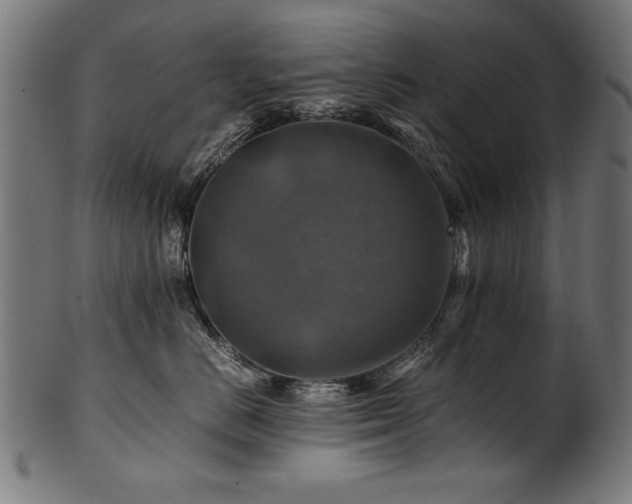 X0000100950670200806241505