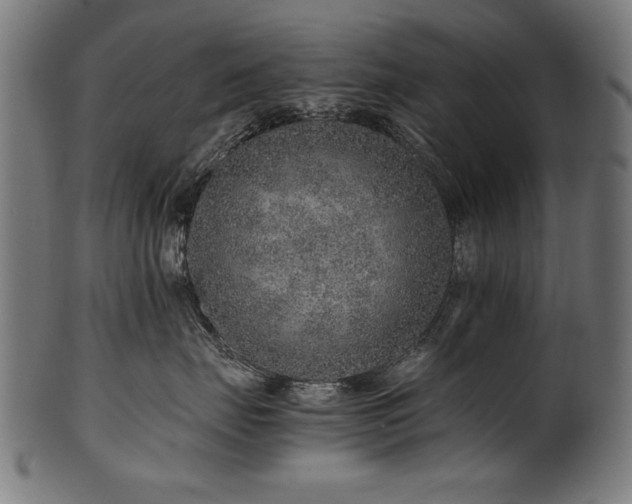 X0000100950671200806241505