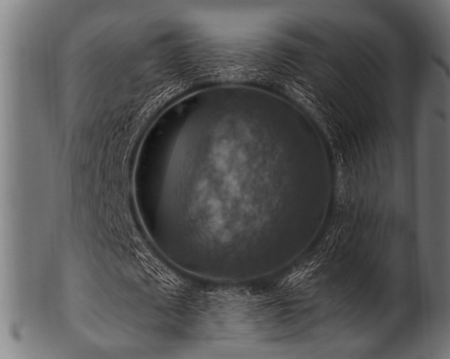 X0000100950673200806241504