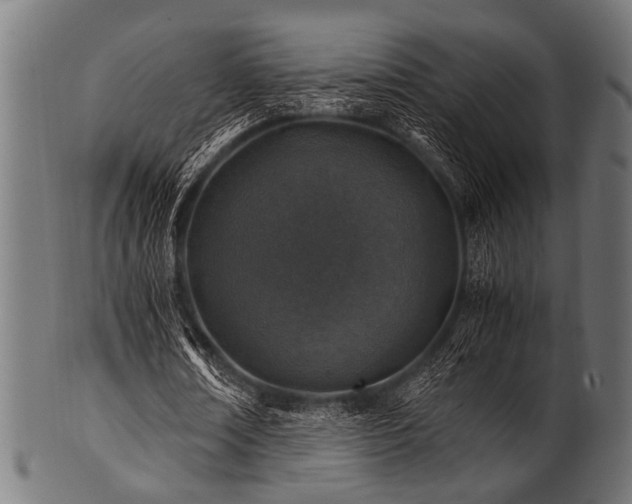 X0000100950674200806241504