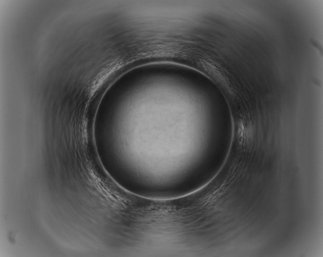 X0000100950676200806241504