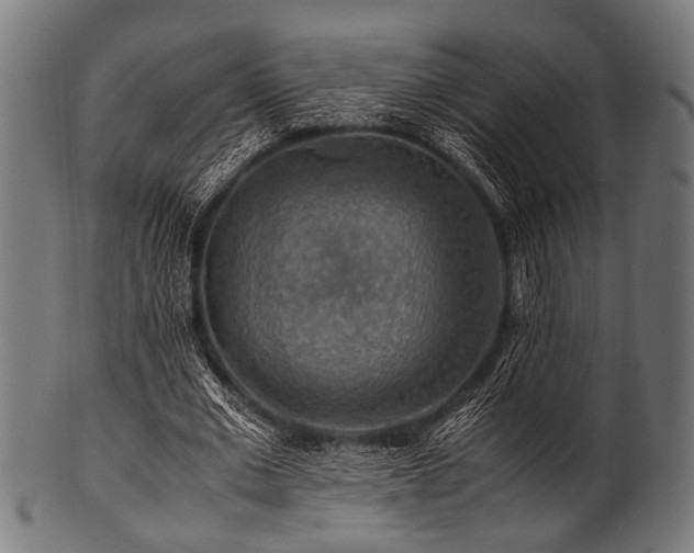 X0000100950677200806241504