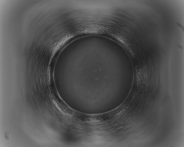 X0000100950678200806241504