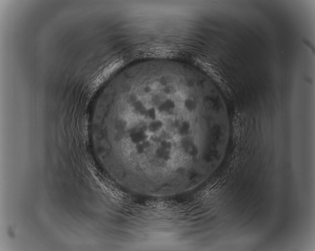 X0000100950679200806241504