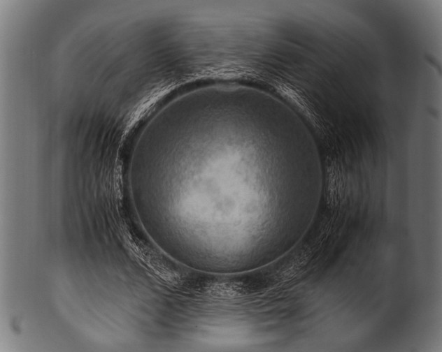 X0000100950680200806241504