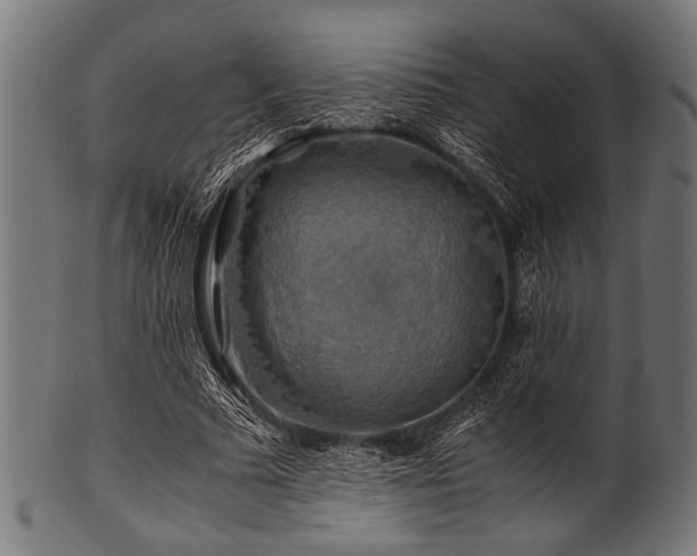 X0000100950681200806241504