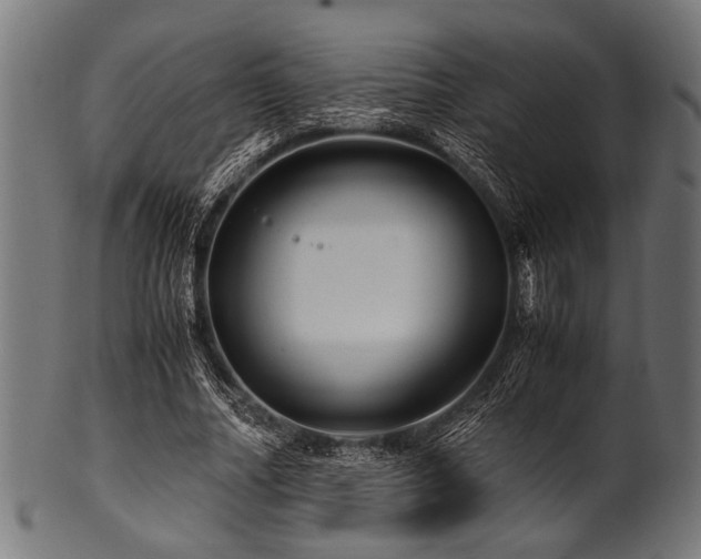 X0000100950682200806241504