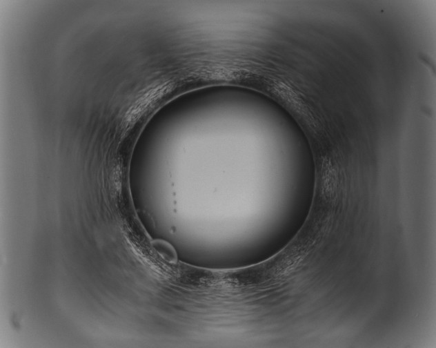 X0000100950683200806241504