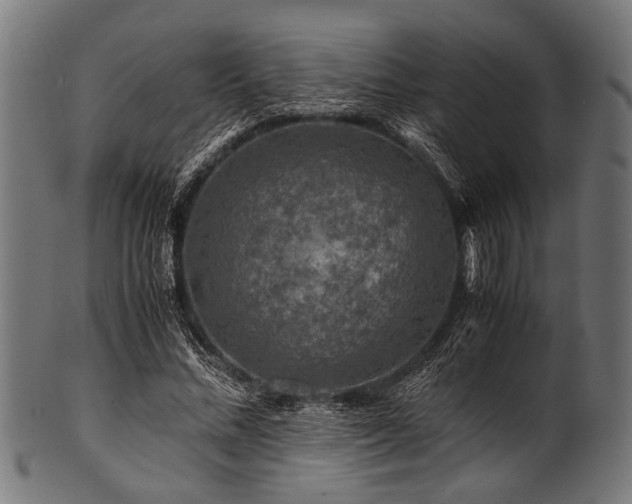 X0000100950684200806241504