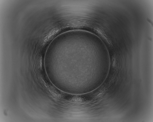 X0000100950685200806241504