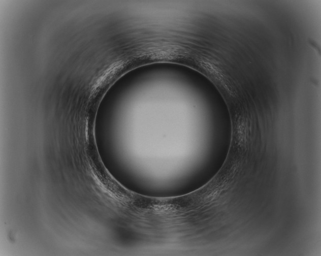 X0000100950686200806241504