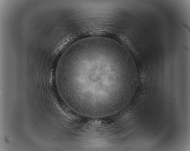 X0000100950687200806241504