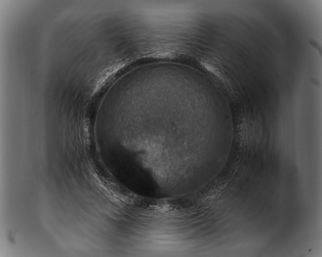 X0000100950688200806241504