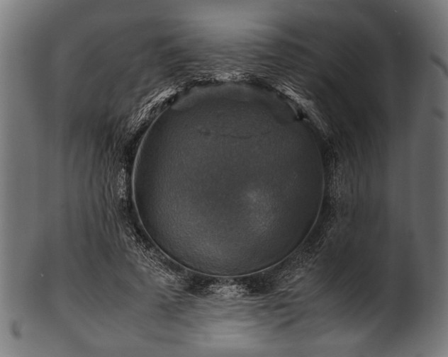 X0000100950689200806241504