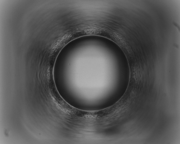 X0000100950690200806241504