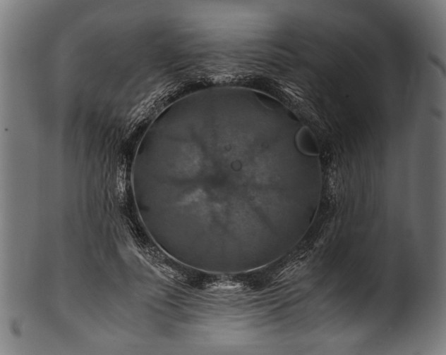 X0000100950691200806241504