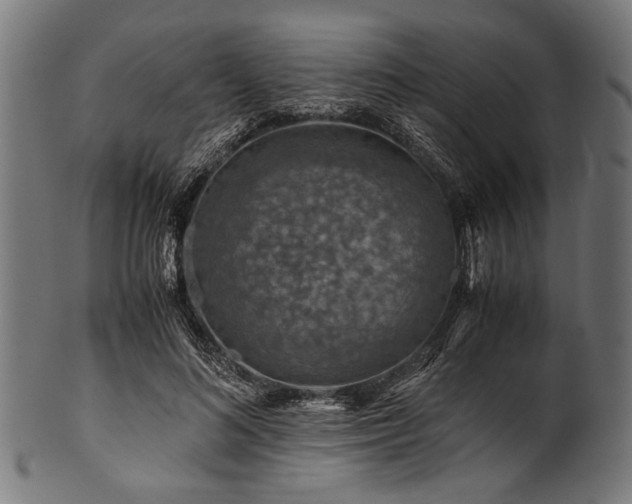 X0000100950692200806241504