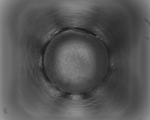 X0000100950693200806241504