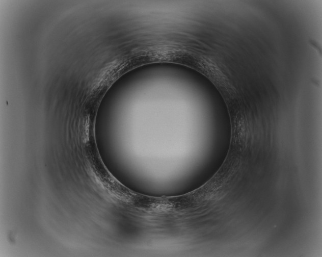 X0000100950694200806241504