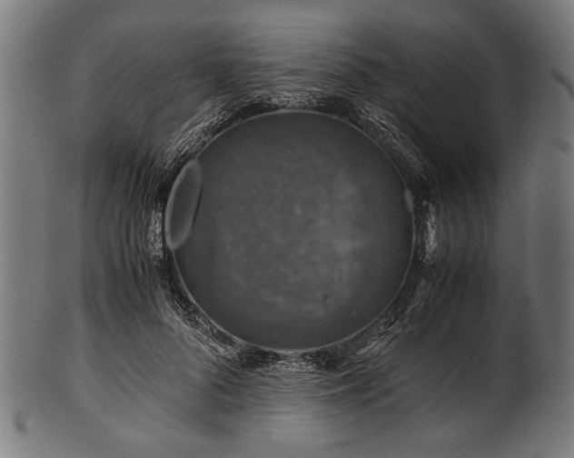 X0000100950696200806241504