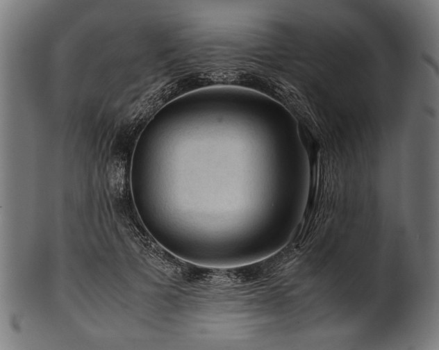 X0000100950697200806241503