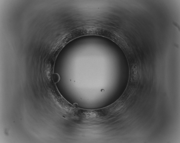 X0000100950698200806241503