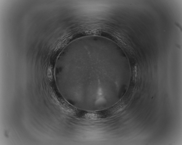 X0000100950699200806241503