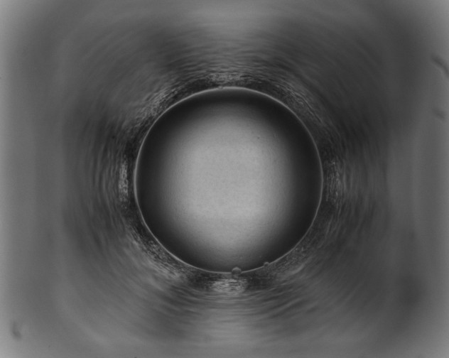 X0000100950700200806241503