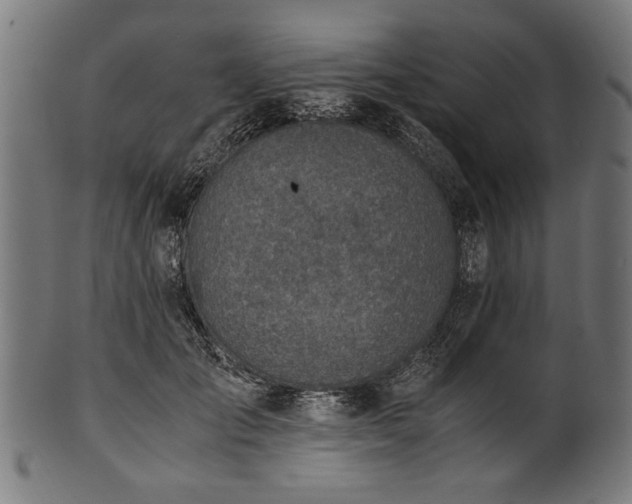 X0000100950701200806241503