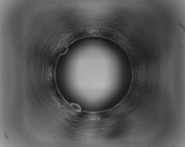 X0000100950702200806241503