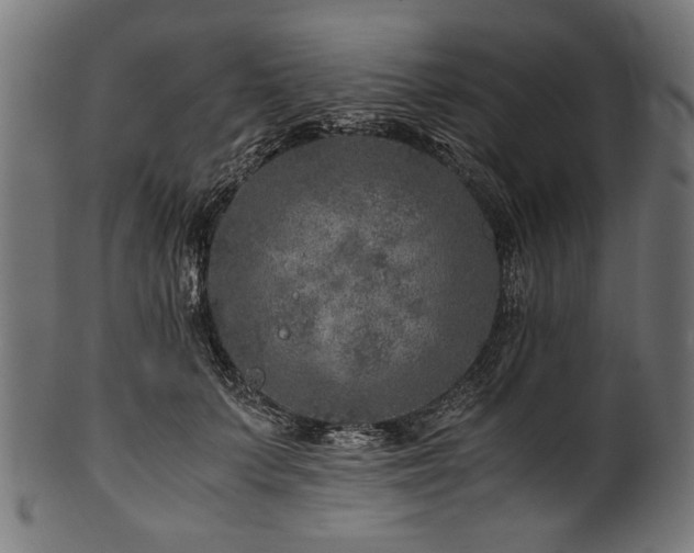 X0000100950703200806241503