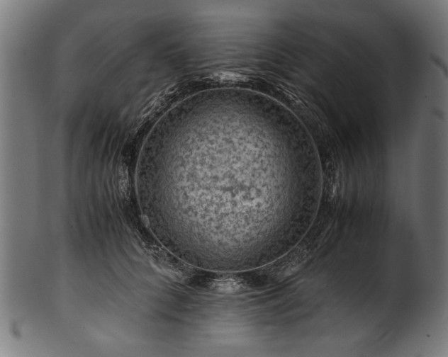 X0000100950704200806241503