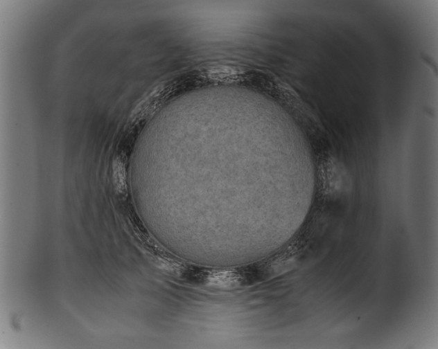 X0000100950705200806241503
